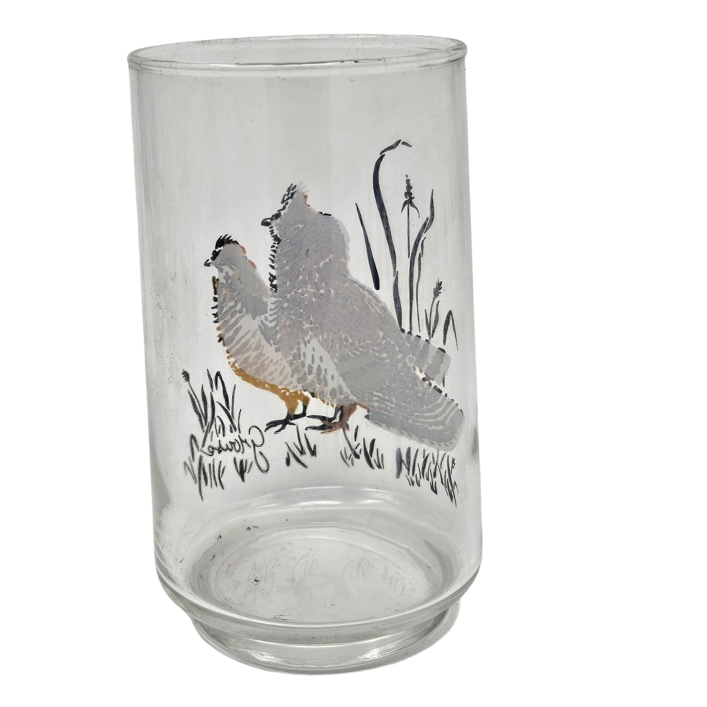 Vintage West Virginia Glass Wildlife Game Bird Drinking Glass Set Pheasant