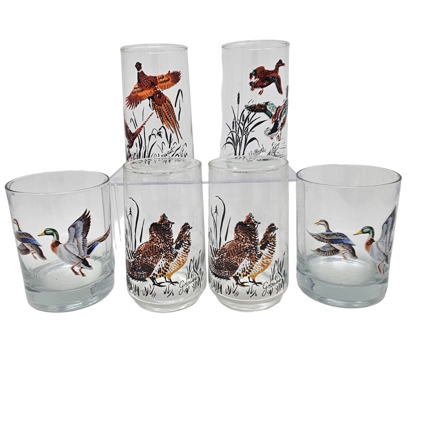 Vintage West Virginia Glass Wildlife Game Bird Drinking Glass Set Pheasant