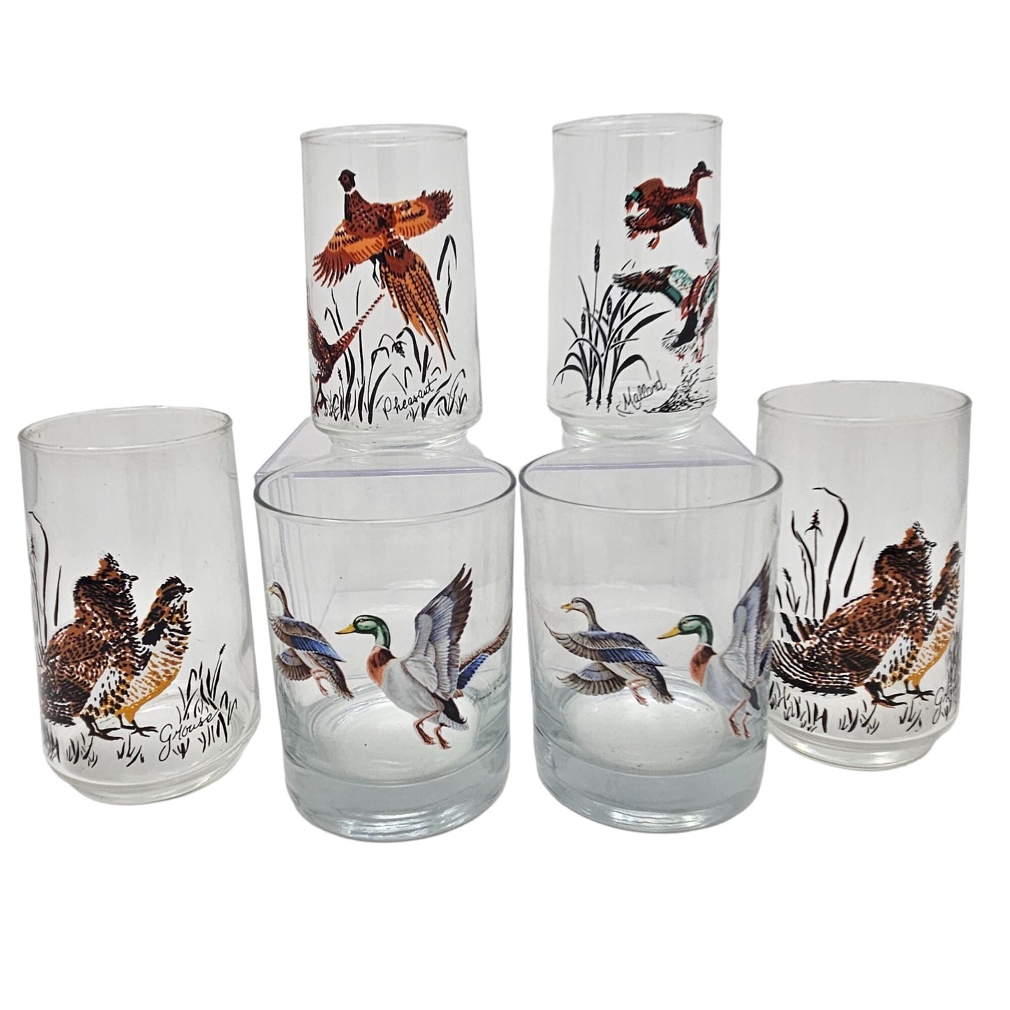 Vintage West Virginia Glass Wildlife Game Bird Drinking Glass Set Pheasant