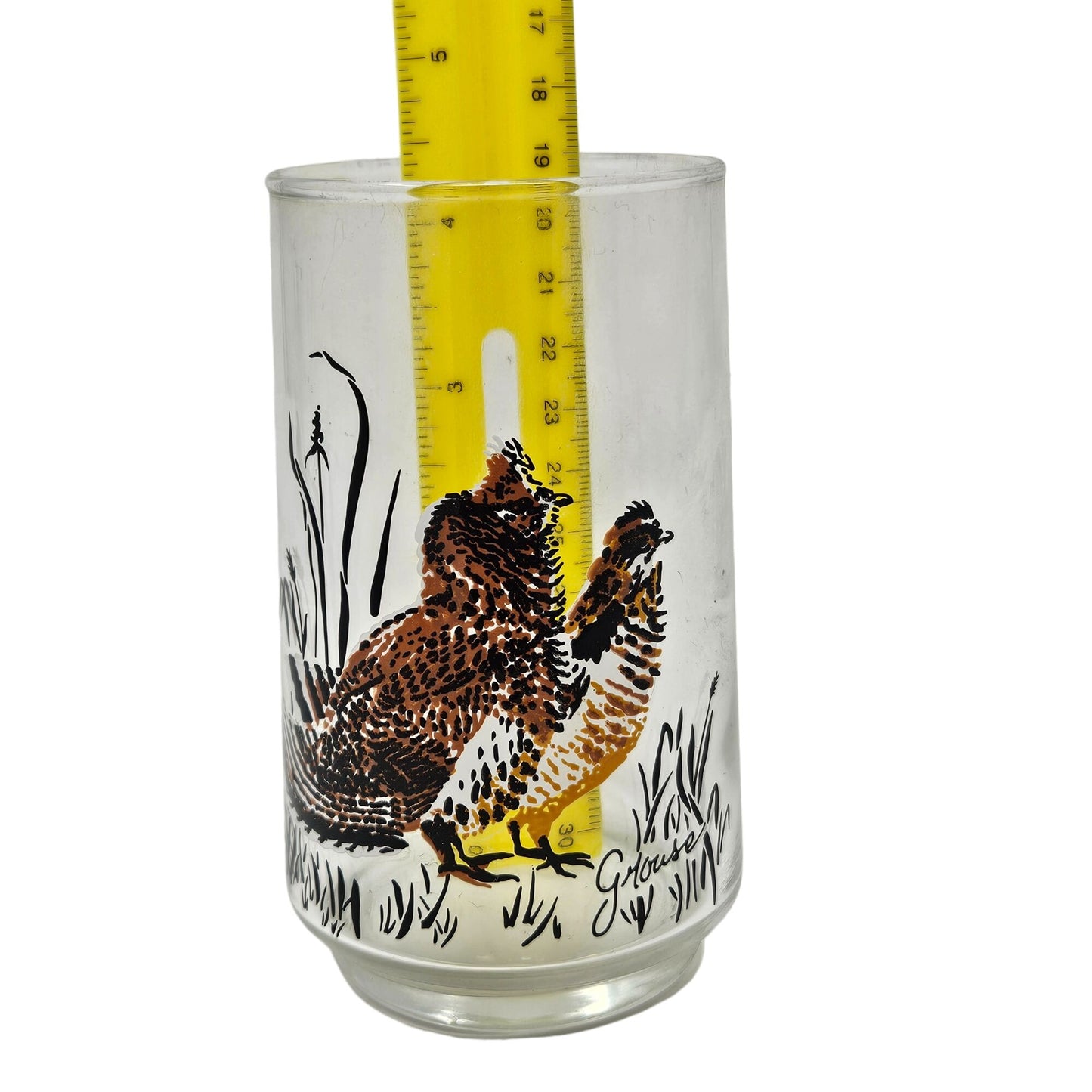 Vintage West Virginia Glass Wildlife Game Bird Drinking Glass Set Pheasant