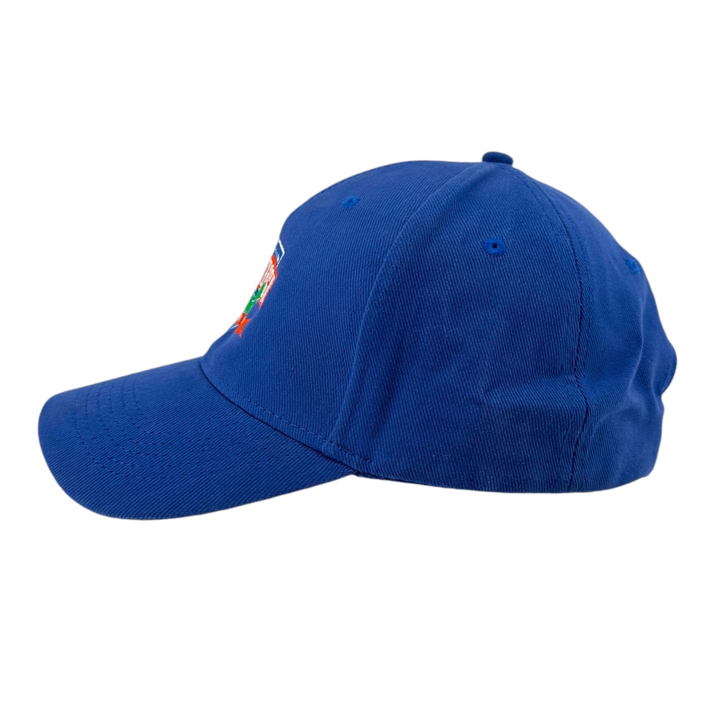 Gainesville Quarterback Club Strapback Cap Hat Blue UF Gators Vintage Anvil