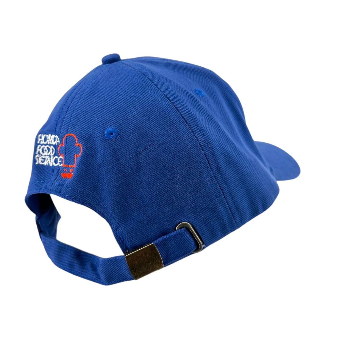 Gainesville Quarterback Club Strapback Cap Hat Blue UF Gators Vintage Anvil