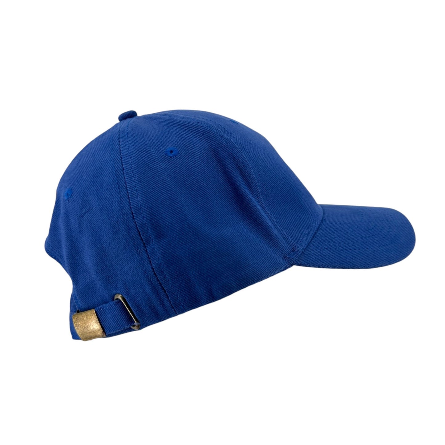 Gainesville Quarterback Club Strapback Cap Hat Blue UF Gators Vintage Anvil